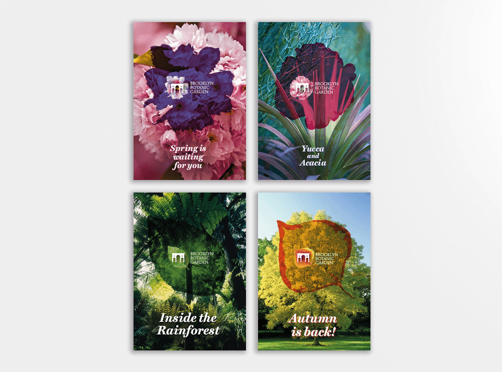 branding projects brooklyn-botanic-garden-nyc-posters-logo-design-branding-flower-plants